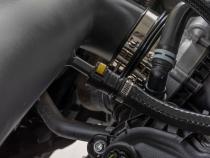Cold Air Intake Kit 5.0L Ford F-150 2WD/4WD (2021-2026) Rough Country